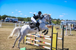 Marburg Show 2026 10-2714.jpg