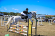 Marburg Show 2026 10-2715.jpg
