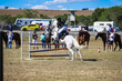 Marburg Show 2026 10-2716.jpg