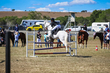 Marburg Show 2026 10-2717.jpg
