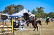 Marburg Show 2026 10-3007.jpg