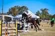 Marburg Show 2026 10-3008.jpg