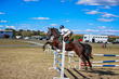 Marburg Show 2026 10-3011.jpg