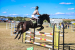 Marburg Show 2026 110-3306.jpg