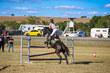 Marburg Show 2026 110-3307.jpg
