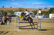 Marburg Show 2026 110-3308.jpg