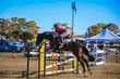 Marburg Show 2026 120-3547.jpg