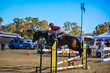 Marburg Show 2026 120-3548.jpg