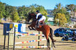 Marburg Show 2026 130-3604.jpg