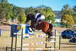 Marburg Show 2026 130-3605.jpg