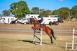 Marburg Show 2026 130-3606.jpg
