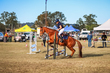 Marburg Show 2026 70-1280.jpg