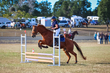 Marburg Show 2026 70-1282.jpg