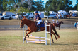 Marburg Show 2026 70-1283.jpg