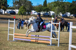 Marburg Show 2026 70-1814.jpg