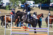 Marburg Show 2026 80-0645.jpg