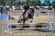 Marburg Show 2026 80-0647.jpg