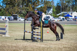 Marburg Show 2026 80-1076.jpg