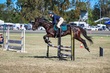 Marburg Show 2026 80-1077.jpg