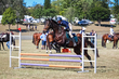 Marburg Show 2026 80-1078.jpg