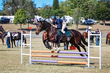 Marburg Show 2026 80-1079.jpg