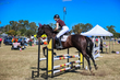 Marburg Show 2026 90-2022.jpg