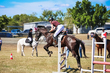 Marburg Show 2026 90-2024.jpg