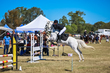 Marburg Show 2026 90-2413.jpg