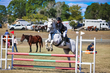 Marburg Show 2026 90-2415.jpg