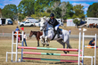 Marburg Show 2026 90-2416.jpg