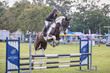 Mudgeeraba Show 2025 10-3903.jpg