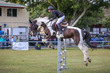 Mudgeeraba Show 2025 10-3907.jpg