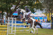 Mudgeeraba Show 2025 10-3908.jpg