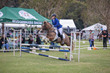 Mudgeeraba Show 2025 Junior 6 Bar Round 2-4653.jpg