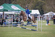 Mudgeeraba Show 2025 Junior 6 Bar Round 2-4654.jpg