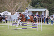Mudgeeraba Show 2025 Junior 6 Bar Round 3-4804.jpg