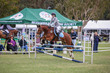 Mudgeeraba Show 2025 Junior 6 Bar Round 3-4805.jpg