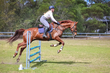 SREC Aug Training 2026 95-8812.jpg