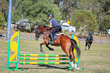 SREC August  2025 70-80-2425.jpg