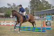 SREC SJ Spectacualr 2026 Day 2 65-0488(1).jpg