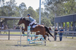 SREC SJ Spectacualr 2026 Day 3  100-3705(1).jpg