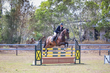 SREC SJ Spectacualr 2026 Day 3  110-115-5197(1).jpg