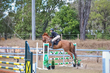 SREC SJ Spectacualr 2026 Day 3  110-115-5696(1).jpg