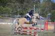 SREC SJ Spectacualr 2026 Day 3  70-80 JO-2818(1).jpg