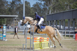 SREC SJ Spectacualr 2026 Day 3  70-80 JO-2821(1).jpg