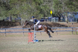 SREC SJ Spectacualr 2026 Day 3  70-80-2344(1).jpg