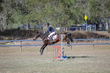 SREC SJ Spectacualr 2026 Day 3  70-80-2345(1).jpg