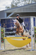 SREC SJ Spectacualr 2026 Day 3  90 JO-3554(1).jpg