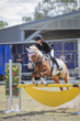 SREC SJ Spectacualr 2026 Day 3  90 JO-3555(1).jpg