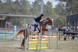 SREC SJ Spectacualr 2026 Day 3  90 JO-3556(1).jpg